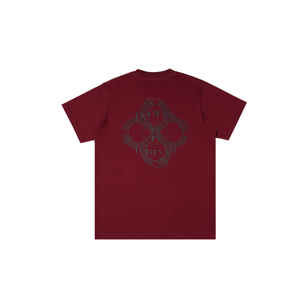 Wormhole Serpent Season T-shirt Wash Maroon